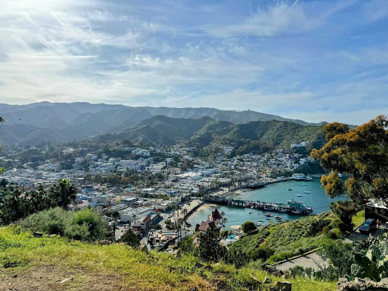 Panoramic view of Avalon on Catalina Island, showcasing the clustered buildings along the harbor, surrounded by rolling green hills under a partly cloudy sky.

