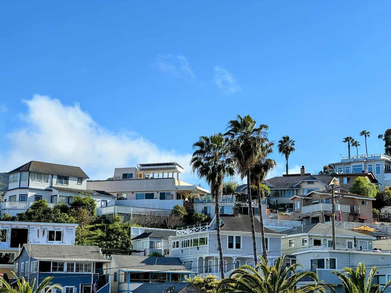 Hillside homes on Catalina Island, built closely together with a mix of architectural styles and palm trees dotting the landscape under a bright blue sky.

