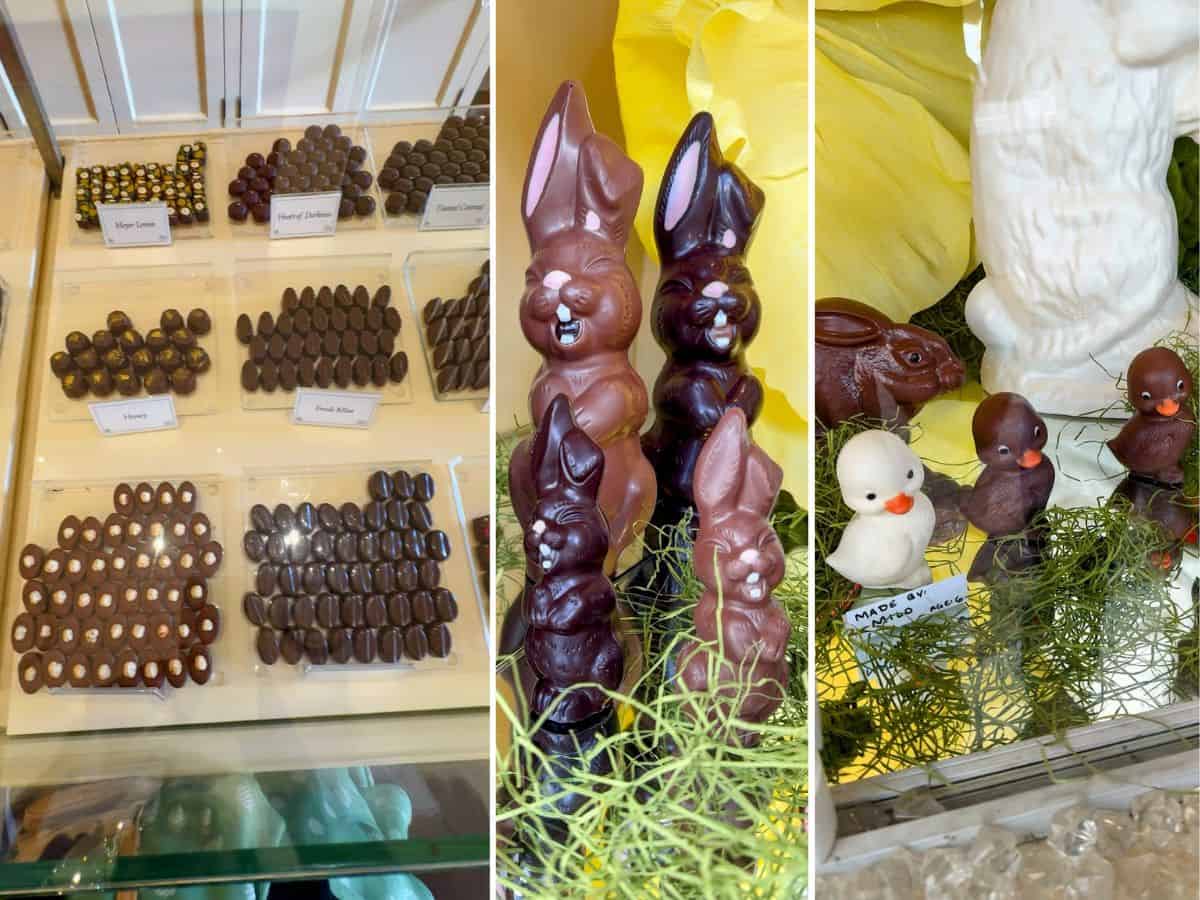 A display case filled with artisan chocolates, including honey, major lemon, and fresh mint varieties, plus whimsical chocolate bunnies and ducklings—highlighting Woodhouse Chocolate as a must-visit for sweet lovers in St. Helena.