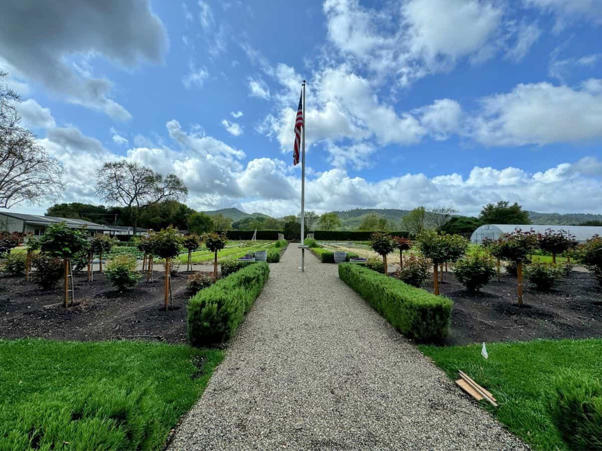 A well-maintained garden path lined with neatly trimmed bushes and small trees leads to a flagpole under a bright blue sky. Peeking into the French Laundry Culinary Garden is a serene and inspiring thing to do in Yountville, especially for food lovers.