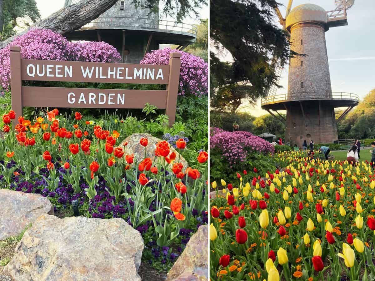 Colorful tulip garden at Queen Wilhelmina Garden with blooming flowers and lush greenery.